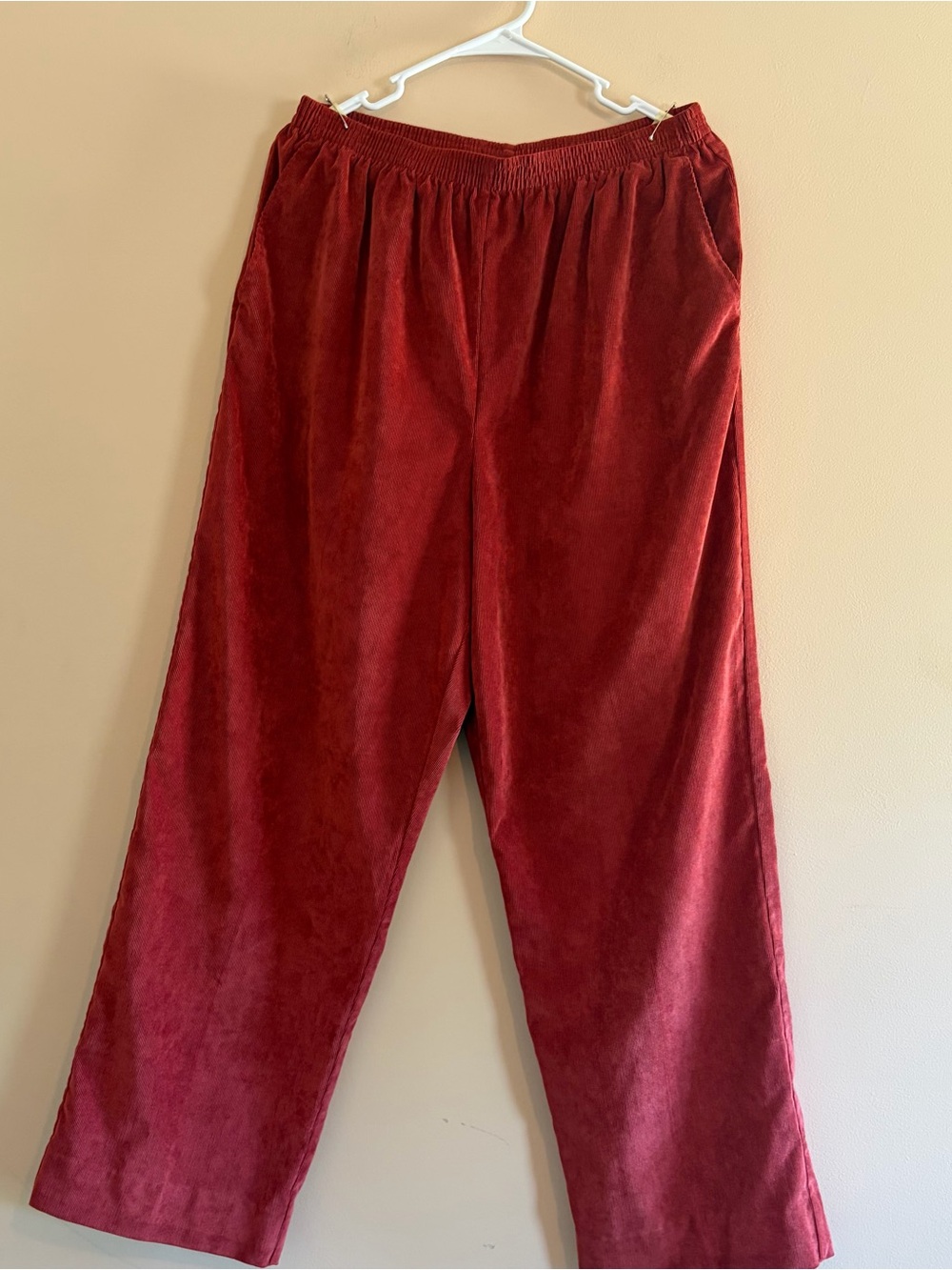 Alfred Dunner Velvet pull on Pants - Deep Red